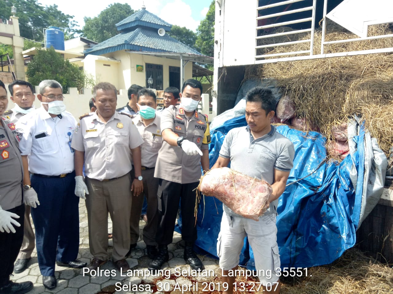 Polda Lampung Dalami Kasus Penyelundupan Empat Ton Daging Celeng