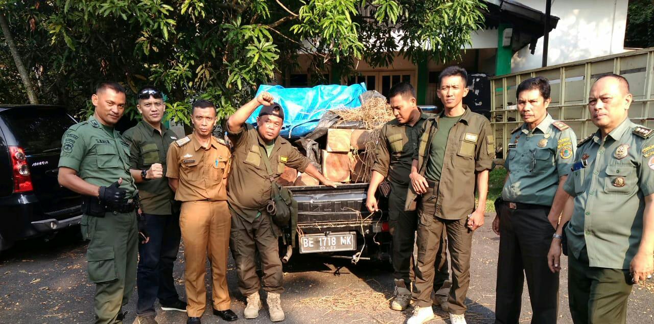 Supir Pick Up Bermuatan Belasan Kayu Sonokeling Berhasil Melarikan Diri