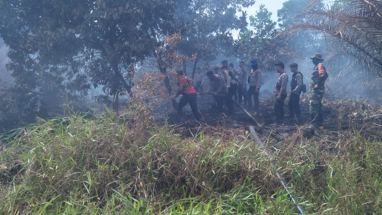 Tambah 50 Personel Padamkan Titik Api di Mesuji