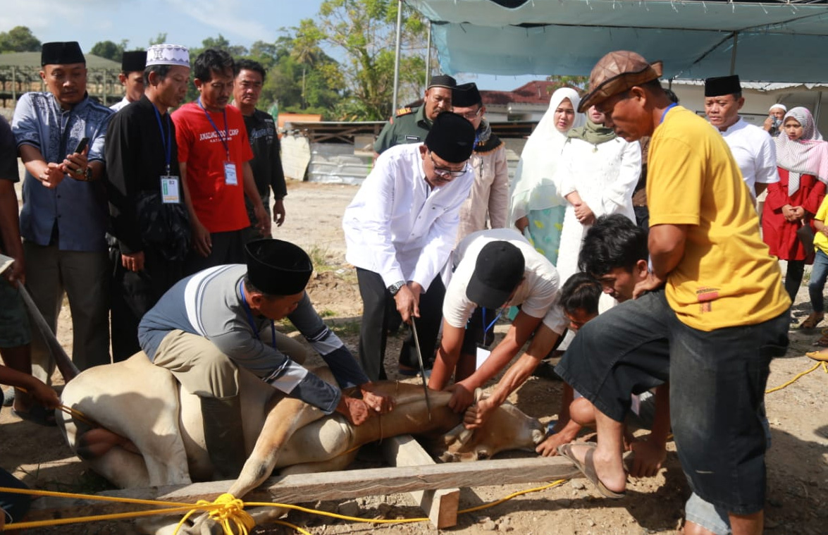 Usai Salat, Agus Istiqlal Sembelih Hewan Kurban