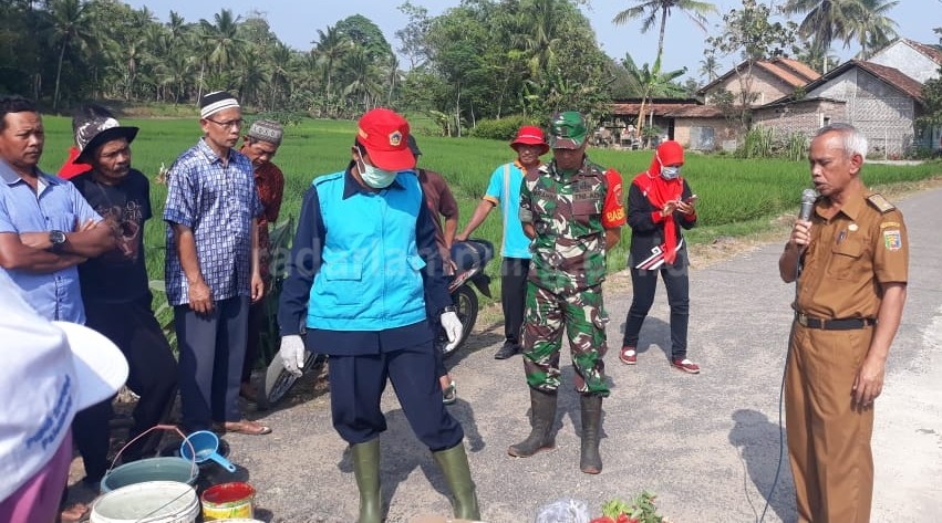 Kendalikan Hama Dengan Lima Tepat