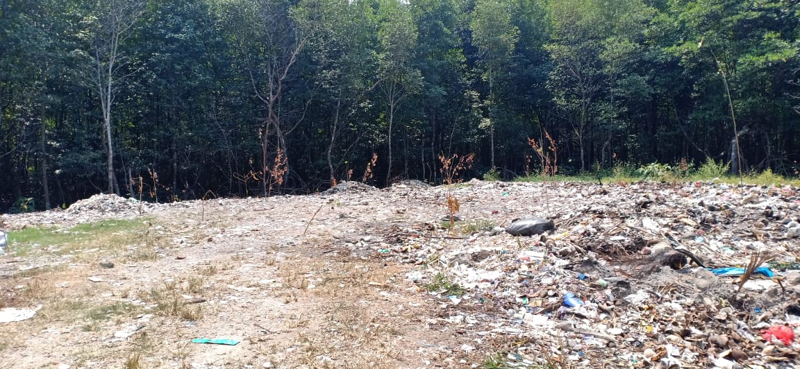 Kawasan Mangrove Tercemar Sampah