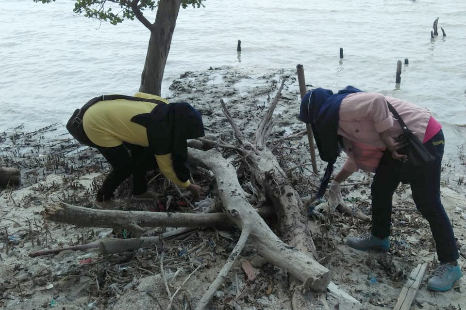 Peringati WCD, Relawan Bersihkan Sampah di Kawasan Mangrove Lamtim