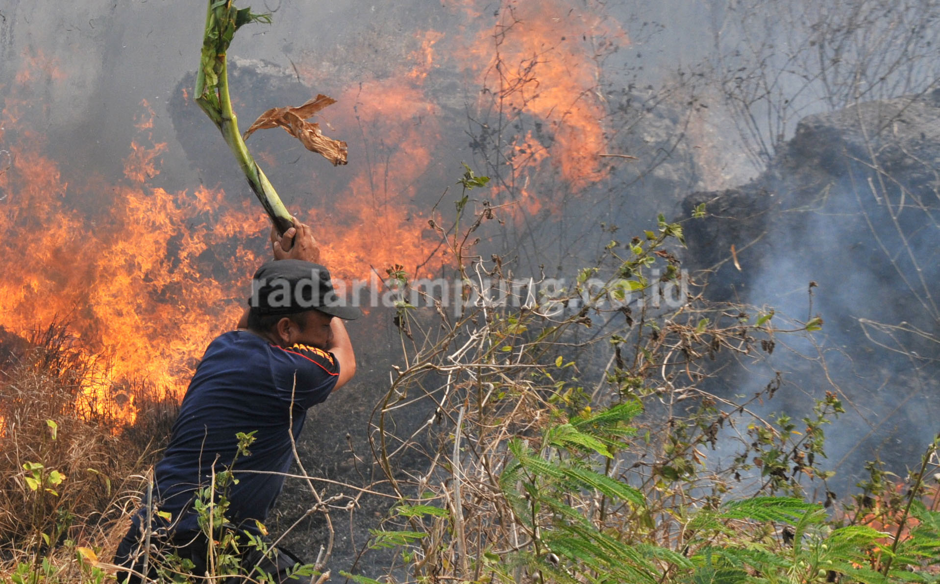 Warga dan Relawan Destana Ikut Tangani Kebakaran