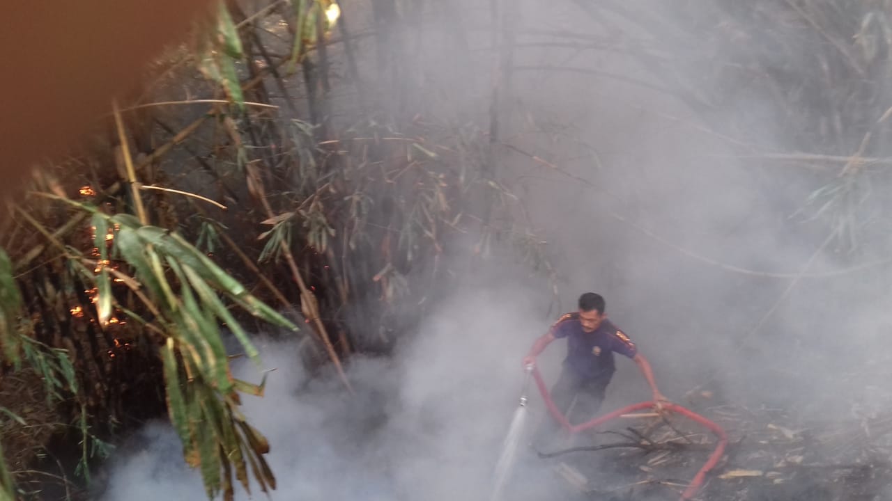 2 Hektare Lahan Bambu di Sukabumi Terbakar