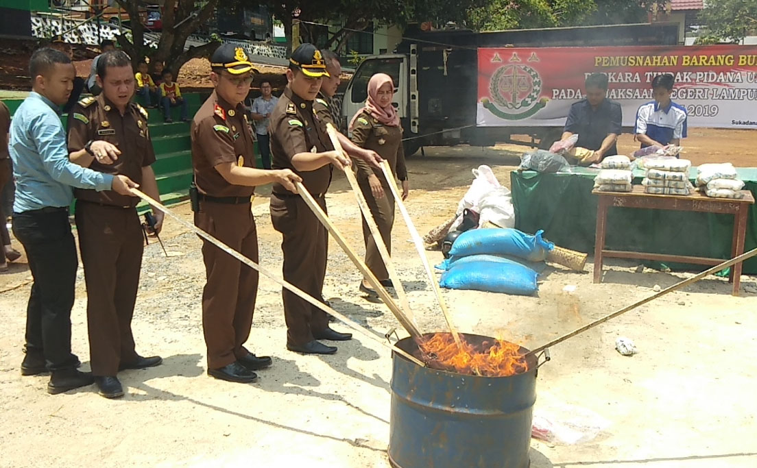 Kejari Lamtim Musnahkan BB Kasus Pidum