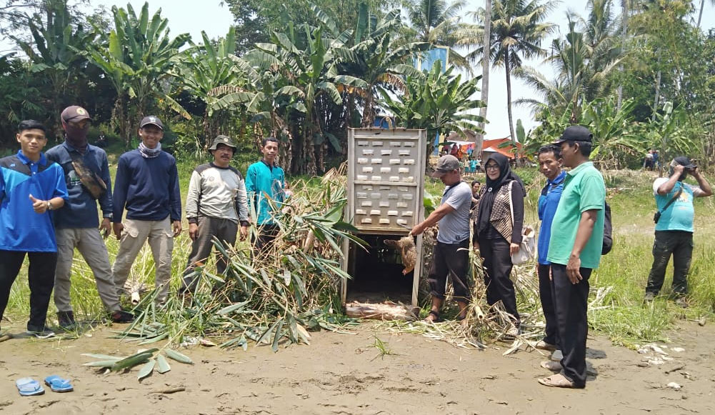 Tim WRU Pasang Perangkap Buaya di Pekon Sudimoro