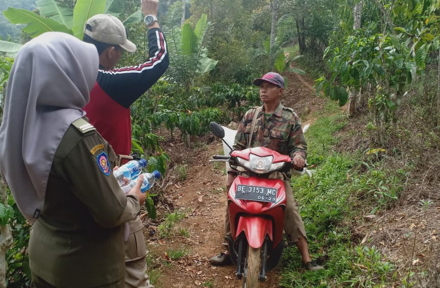 Gajah Terlihat di Balikbukit, Dua Keluarga Diungsikan