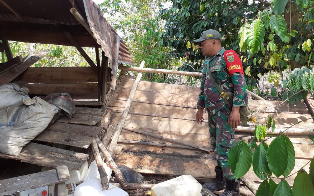 Kian Mengkhawatirkan, Gajah Rusak Dua Gubuk di Suoh