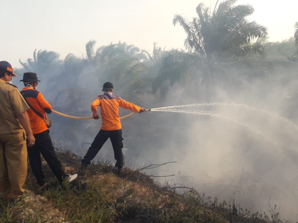 Astaga, Puluhan Hektar Lahan di Mesuji Lagi-lagi Terbakar