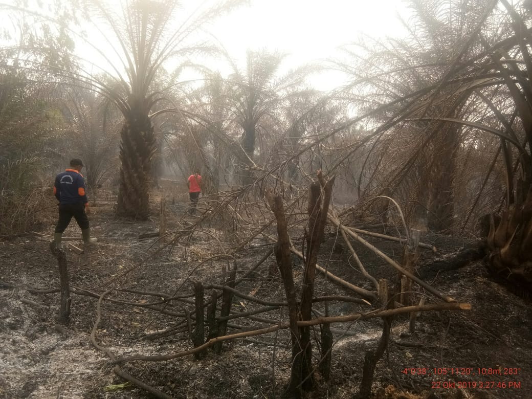 Kebakaran Lahan Masih Jadi Momok Warga Mesuji