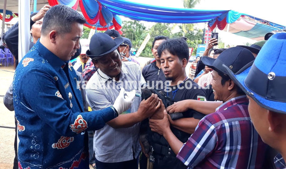 Tingkatkan Potensi Kambing Dalam Rembuk Ternak