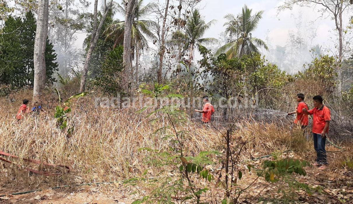 Panik, Lahan Samping Kantor DPRD Pesawaran Terbakar