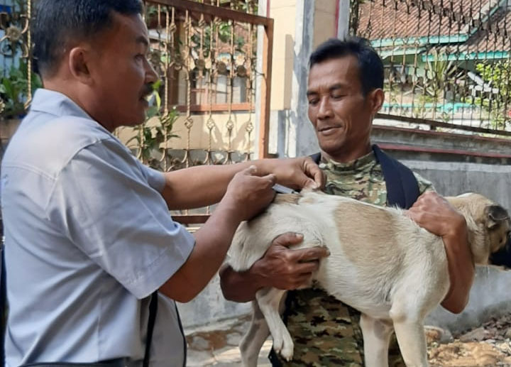 Ribuan HPR di Tanggamus Dapat Vaksin Rabies