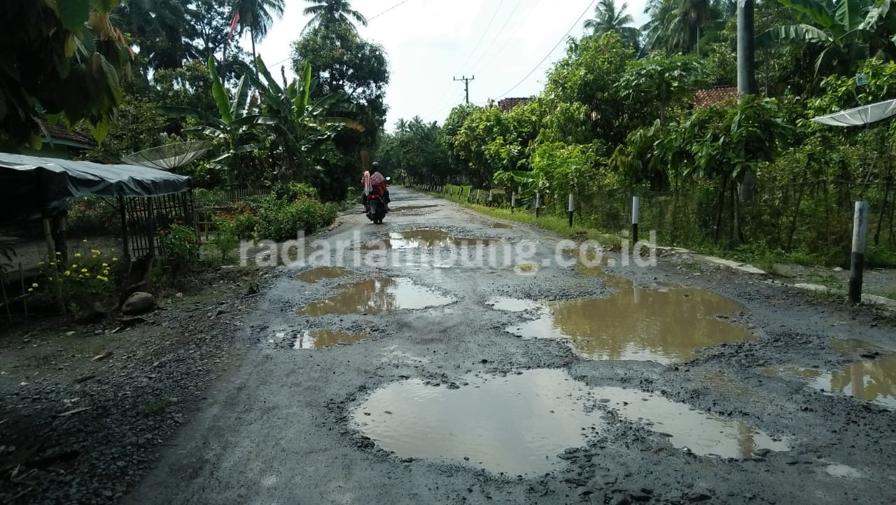 Bertahun-tahun, Jalan Lintas Pekon di Semaka Rusak Parah