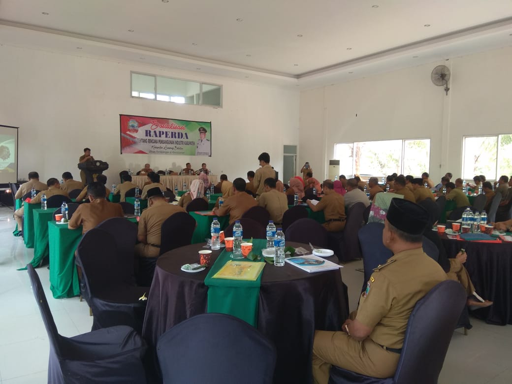 Pemkab Lamsel Rancang Raperda Terkait Industri