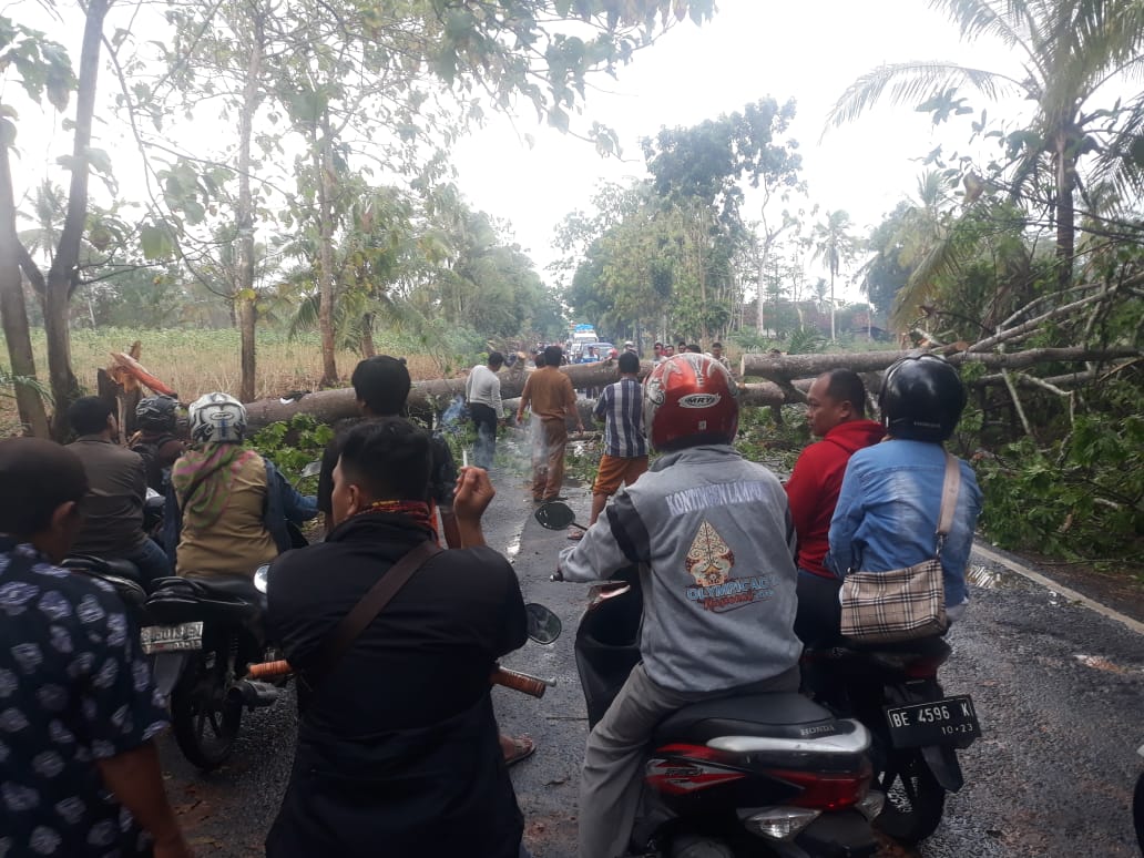 Ada Pohon Tumbang, Jalan ke Sukadana Macet