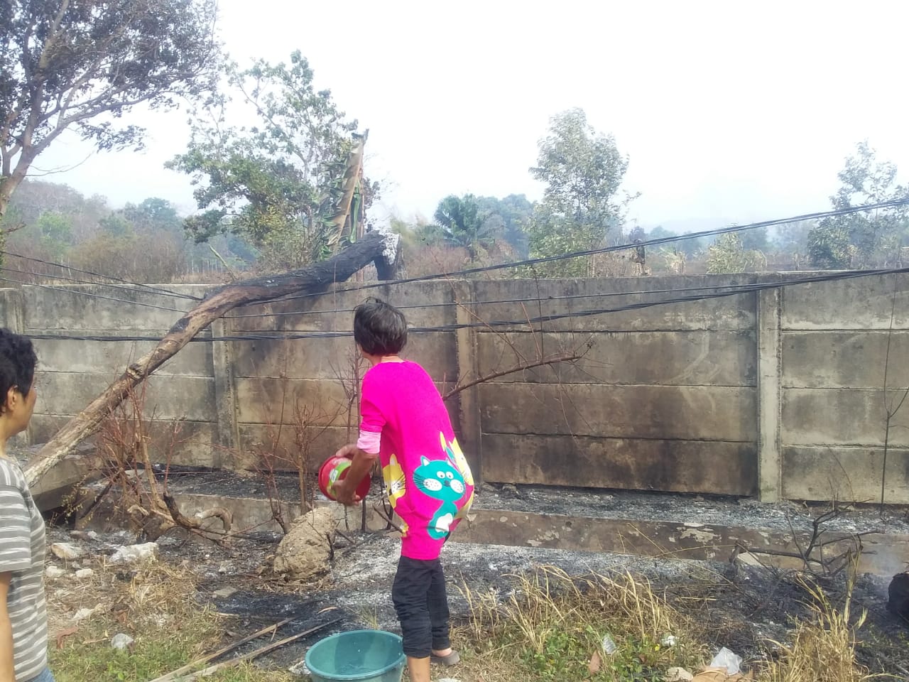 Pohon Terbakar Timpa Kabel Listrik, Warga Dibuat Resah