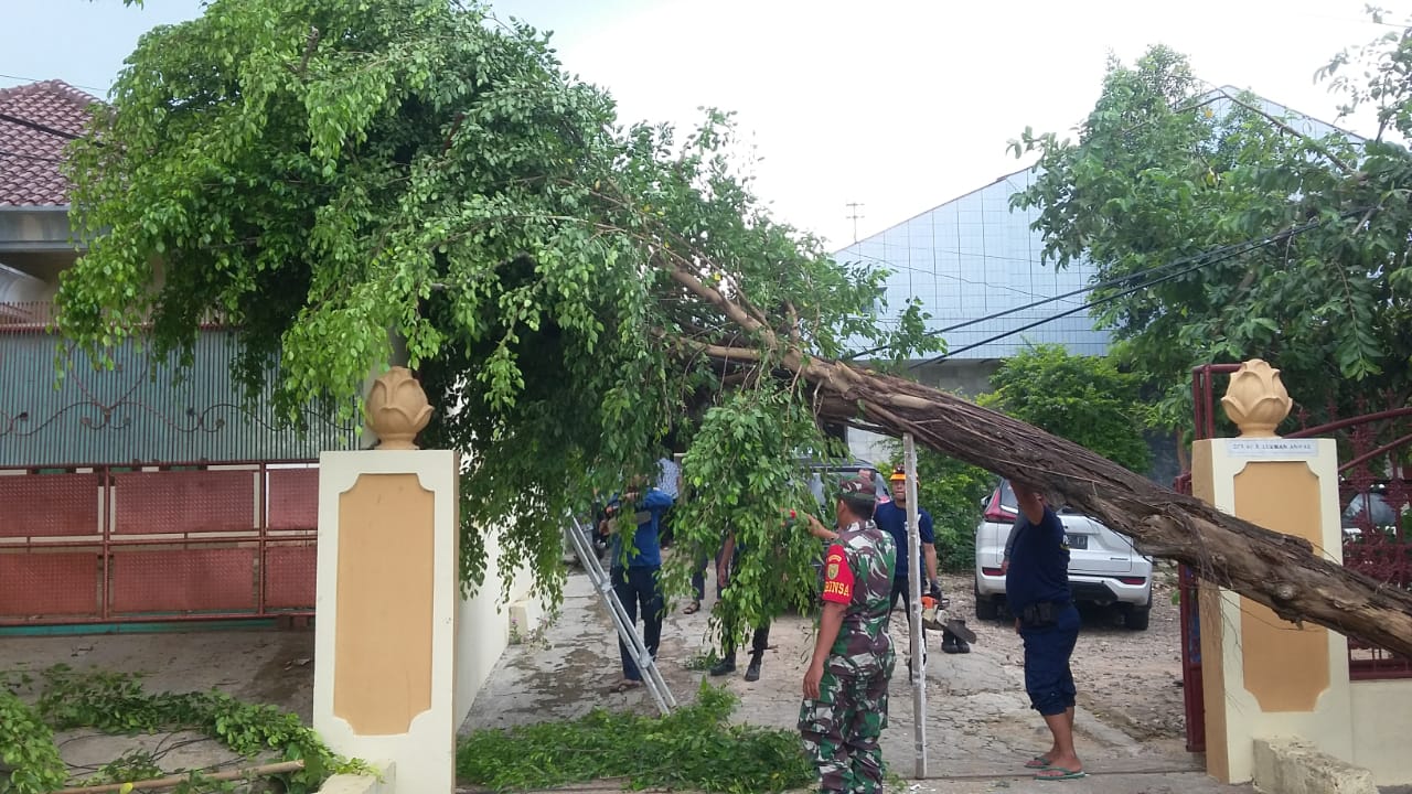 Babinsa Sumur Batu Bantu Evakuasi Pohon Tumbang