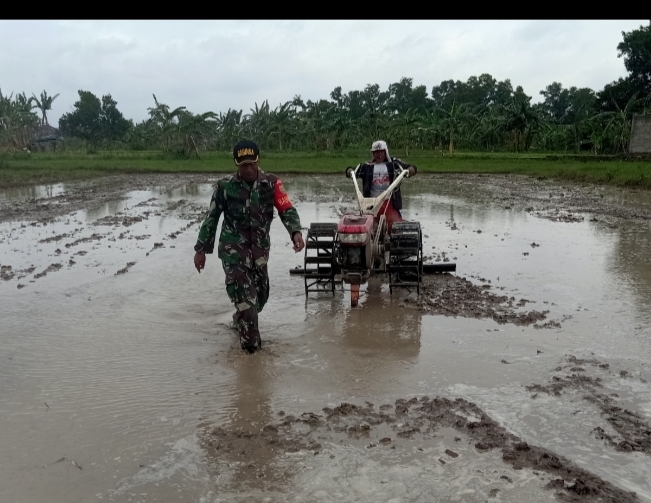 Babinsa Waykandis Dampingi Kelompok Tani