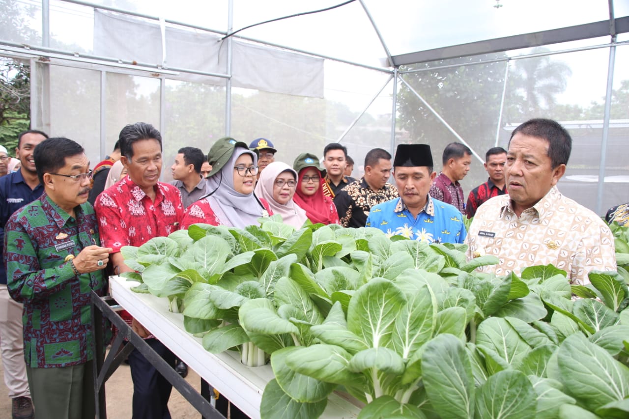 Arinal Minta Polinela Perkuat Pertanian Lampung
