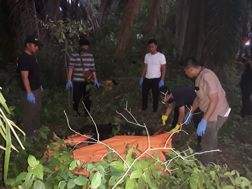 Sesosok Mayat Ditemukan di Kebun Sawut, Diduga Korban Pembunuhan