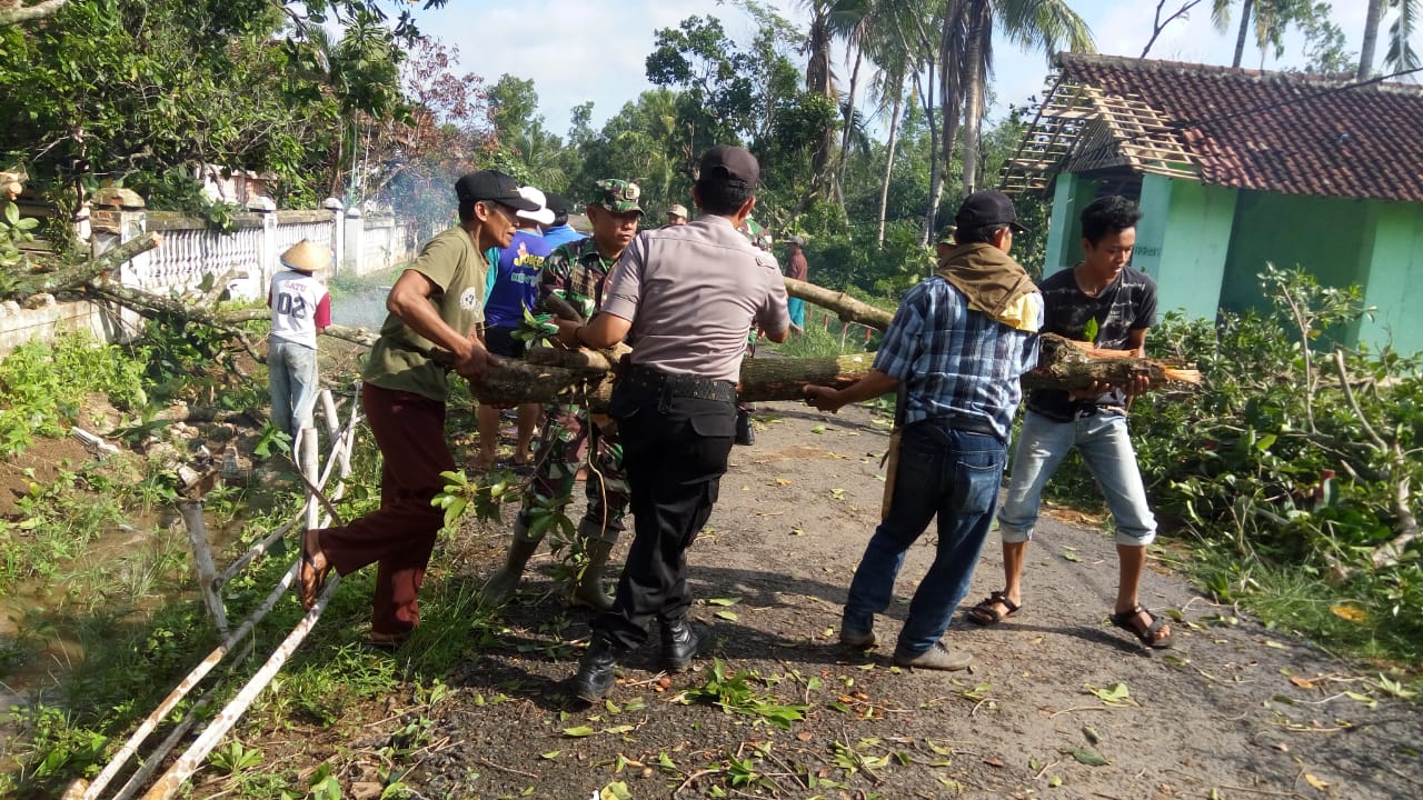 Trimurjo Porak Poranda Diterjang Puting Beliung