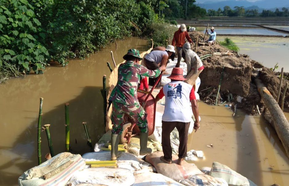 Petani-Tentara Benahi Tanggul Way Lipang