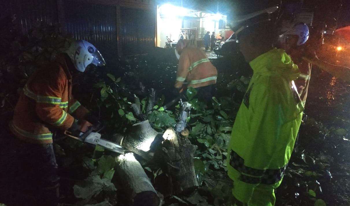 Hujan Deras, Pohon Tumbang di Jalinbar Wonokriyo