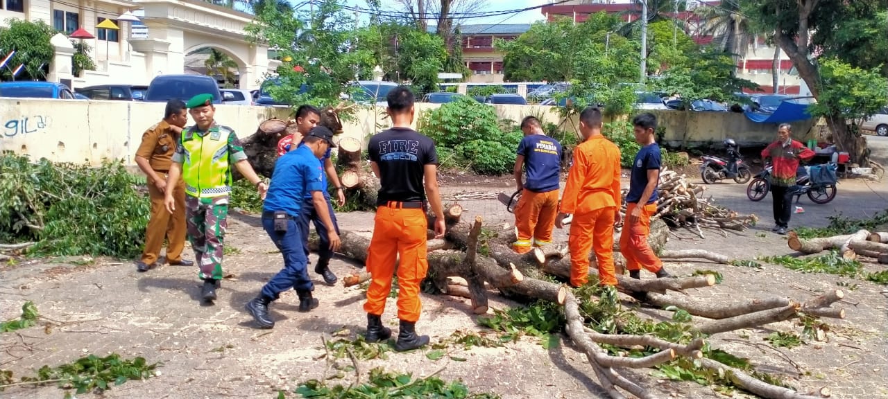 Babinsa Sumur Putri Bantu Evakuasi Bencana Pohon Tumbang