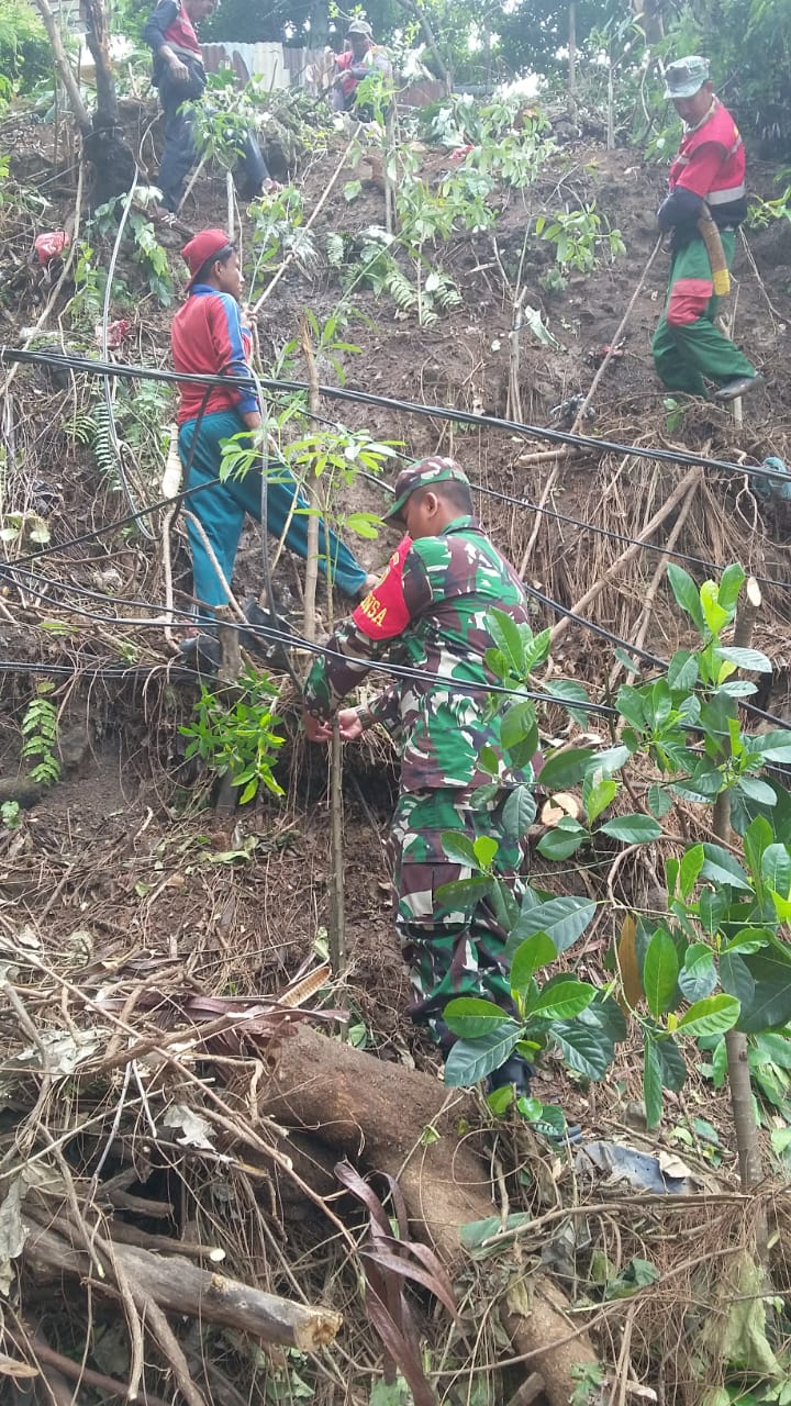 Babinsa Sumur Batu Ajak Dinas Pertanian Penghijauan Pohon