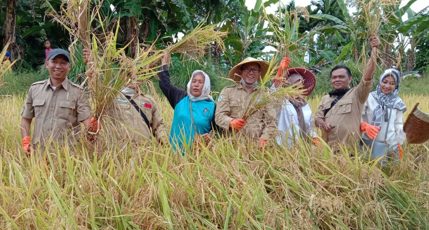 HKTI Kenalkan Pupuk Organik untuk Tingkatkan Produksi