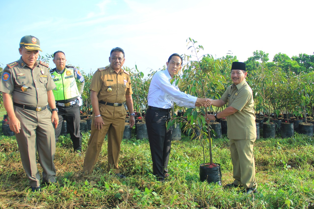 1.000 Pohon Durian Siap Tersebar di Kampus Itera