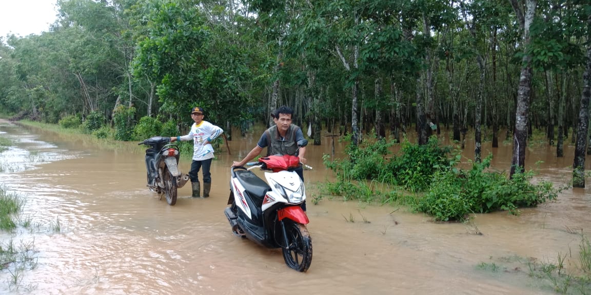 Banjir Rendam Puluhan Hektar Kebun Karet di Mesuji
