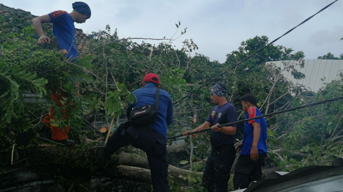 Pohon Tumbang Timpa Bengkel di Jalan Sultan Haji