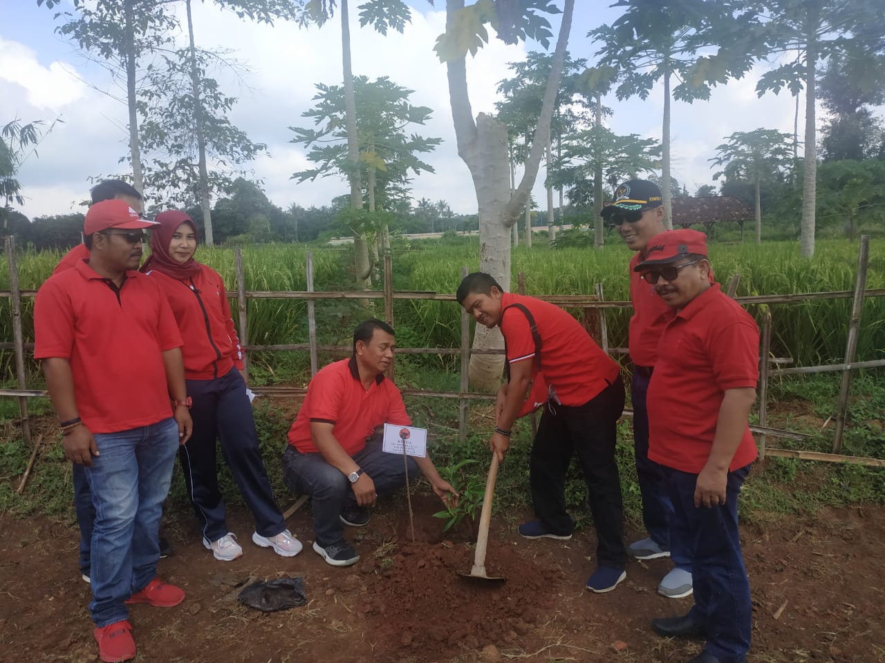 DPC PDIP Pringsewu Tanam 600 Batang Pohon
