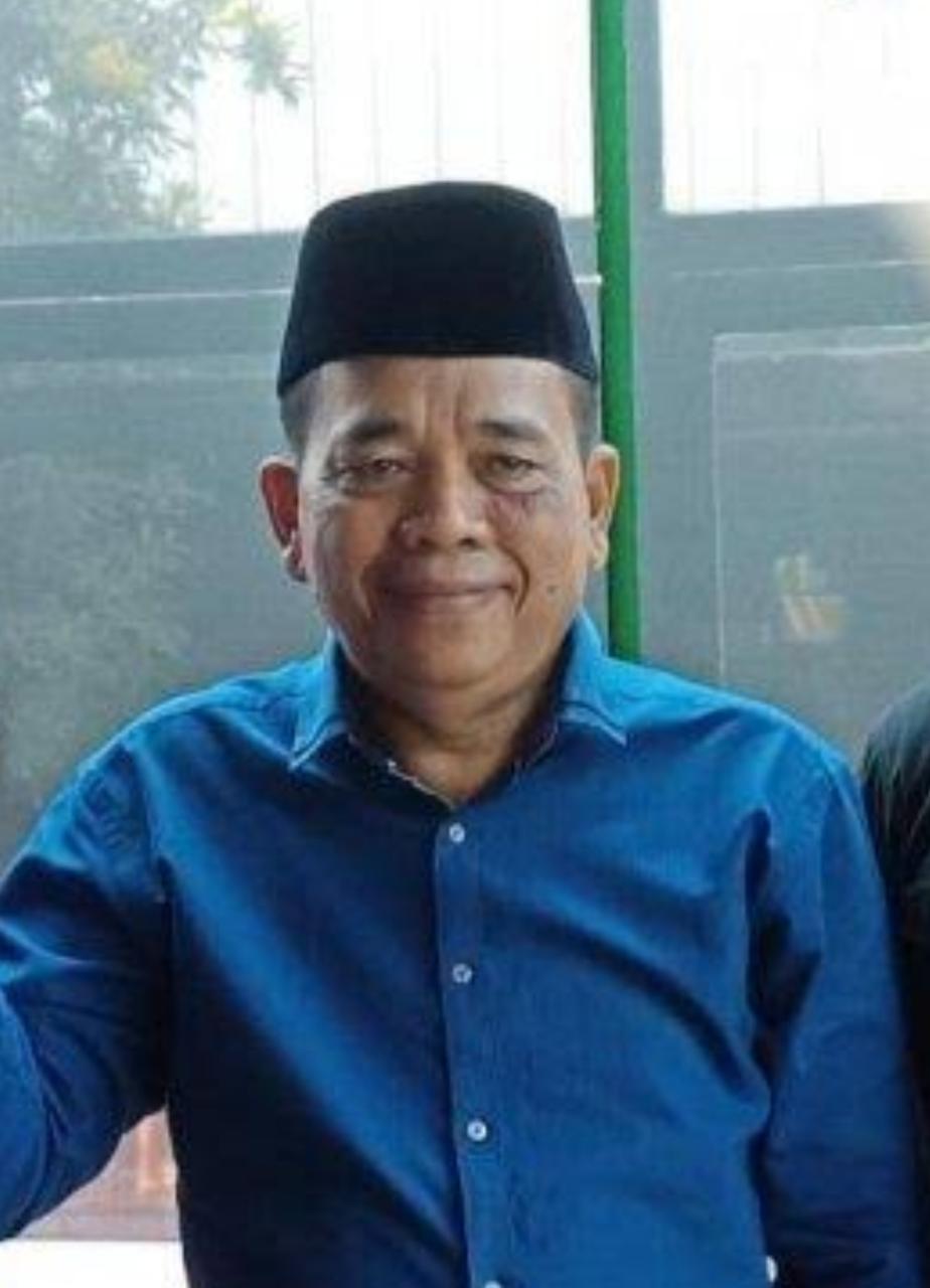 Demokrat Minta Kadernya Tunda Mudik