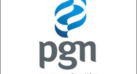 PGN Pastikan Pasokan Gas ke Sektor Kelistrikan Aman