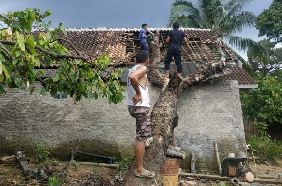 Braak, Pohon Petai Timpa Rumah