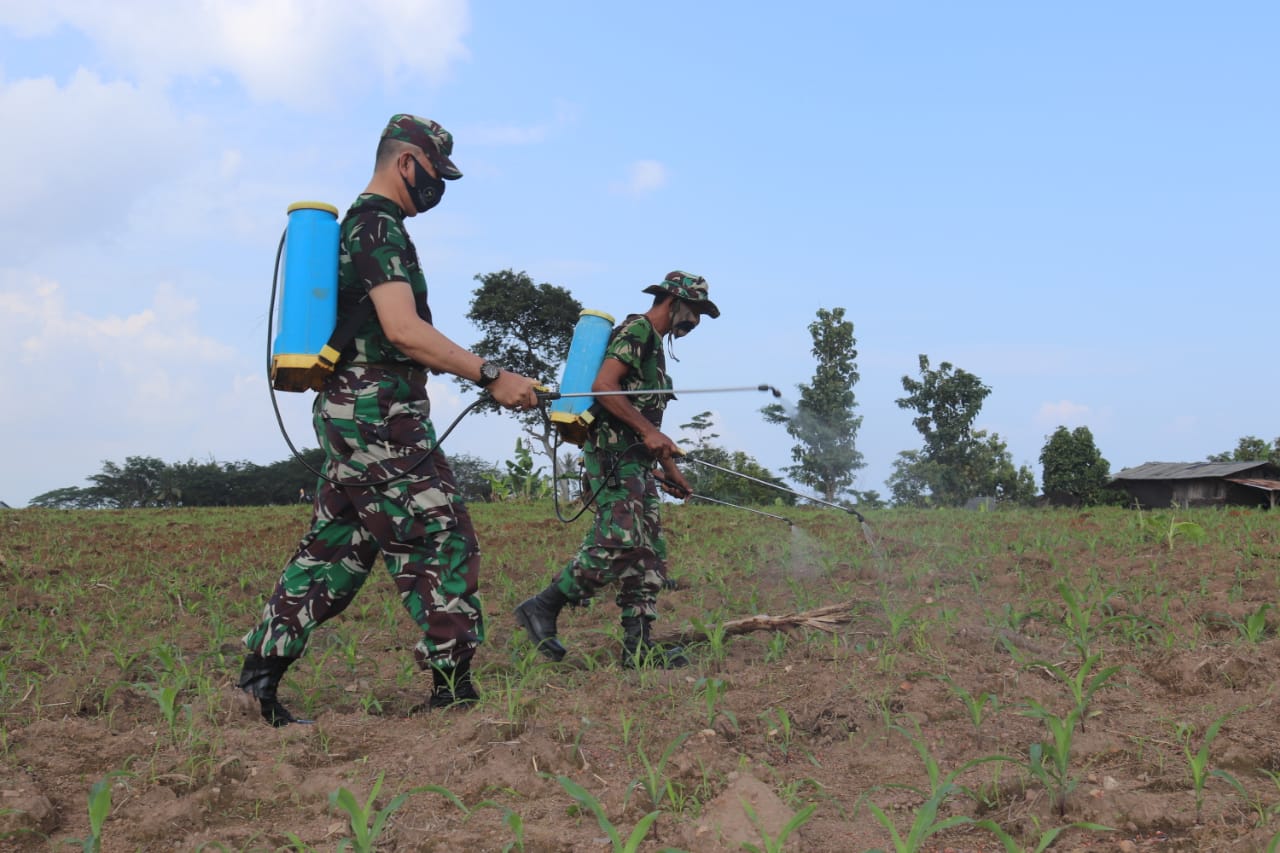 Danramil 410-04/TKT Pimpin Kegiatan Program Ketahanan Pangan di Kedamaian