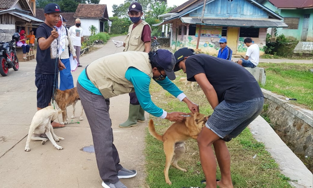 Ratusan Hewan Di-vaksinasi Rabies