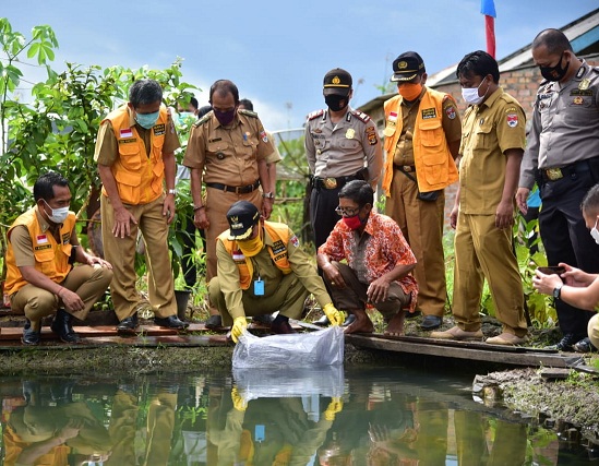 Bantuan Bibit Patin dapat Tingkatkan Perekonomian