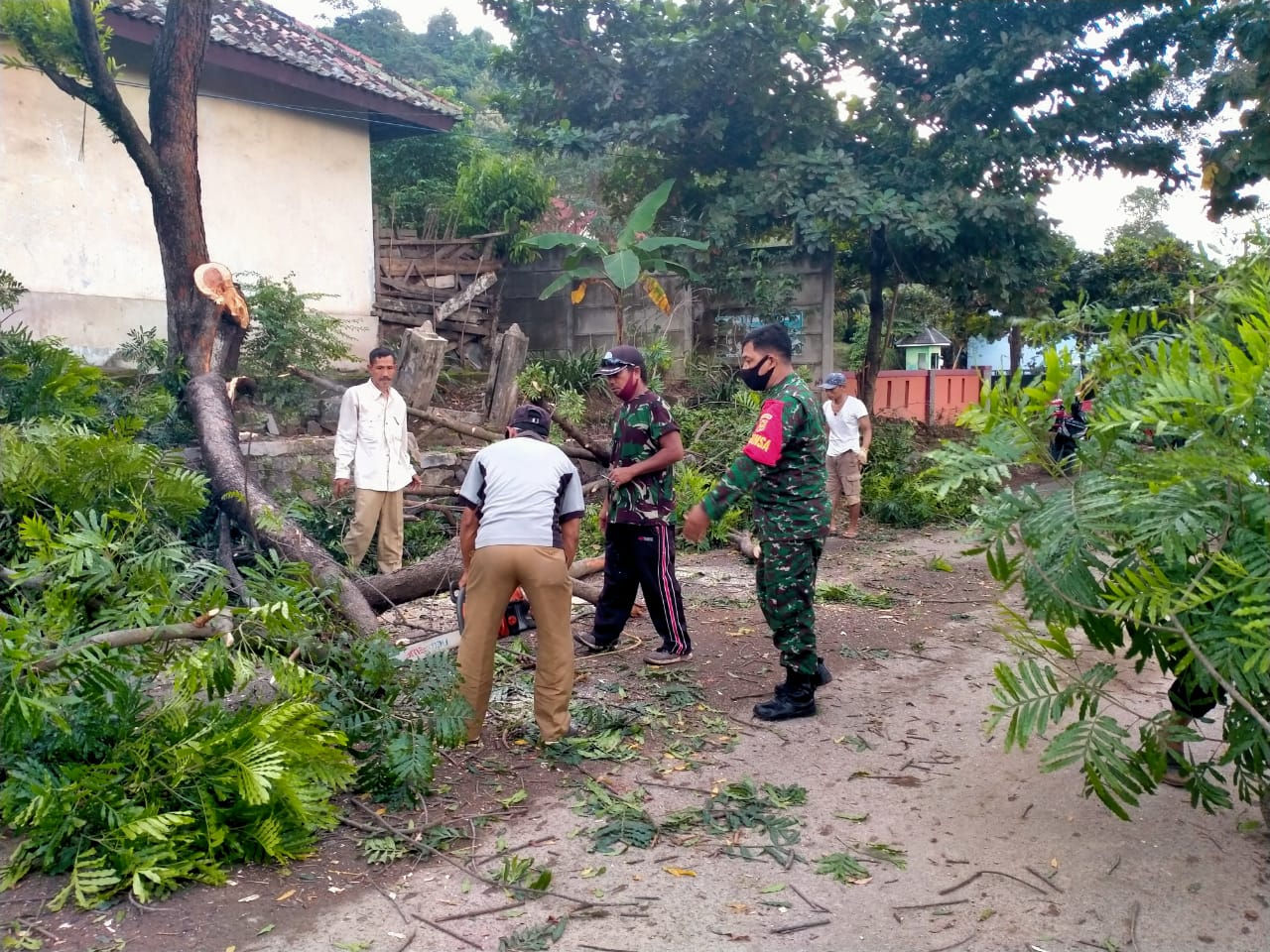 Babinsa Waytataan Koramil 410-03/TBU Gotong Royong Singkiran Pohon Tumbang