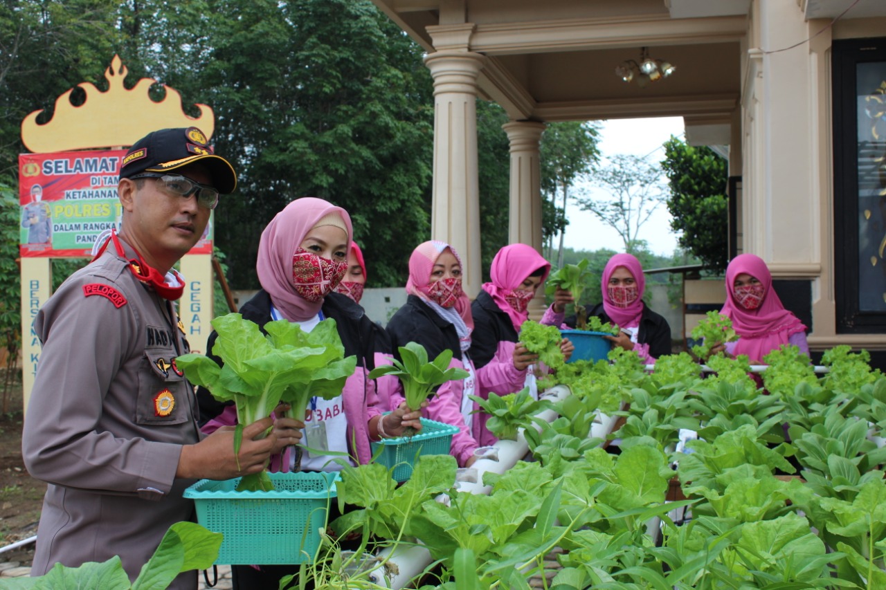 Upaya Ketahanan Pangan Ditengah Pandemi Covid-19, Kapolres Tubaba : Hasil Panen Kita Bagikan Kepada Warga