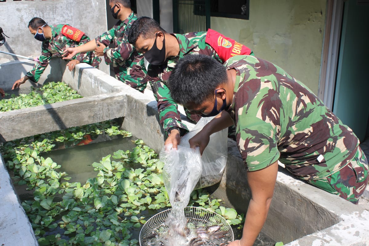 Patut Dicontoh ! Ini Cara Koramil 410-05/TKP Kodim 0410/KBL Laksanakan Ketahanan Pangan