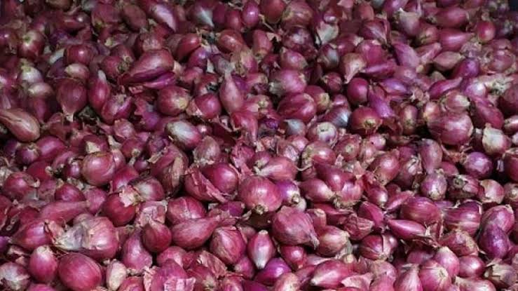 Produksi Bawang Cukup Baik, Pemasaran Jadi Kendala