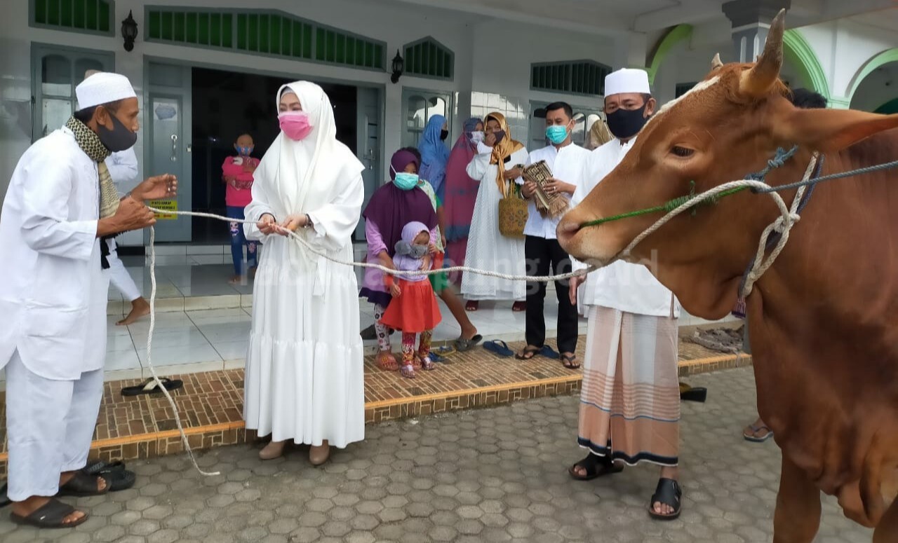 Bupati Tanggamus Salat dan Berkurban di Kelurahan Kuripan