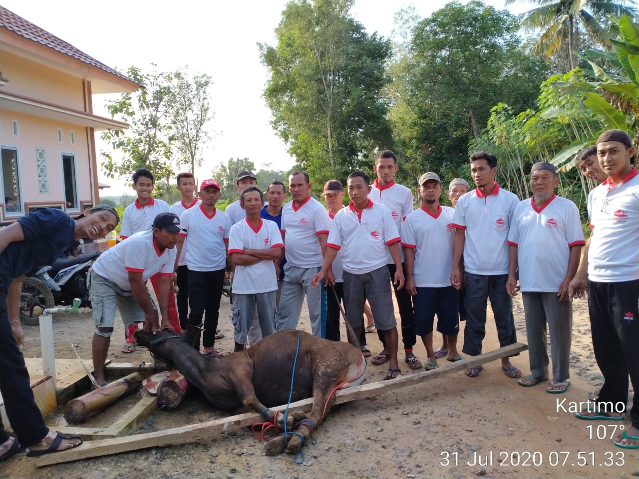 Muhammadiyah Lamteng Kurban 624 Ekor Sapi dan Kambing