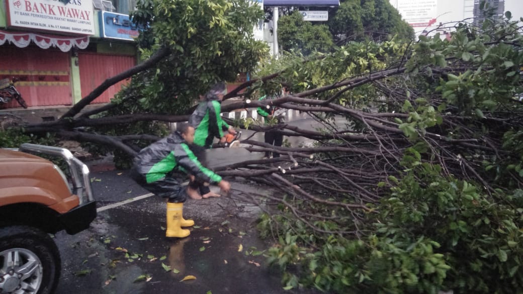 Hujan Lebat, Banjir dan Pohon Tumbang Landa Bandarlampung