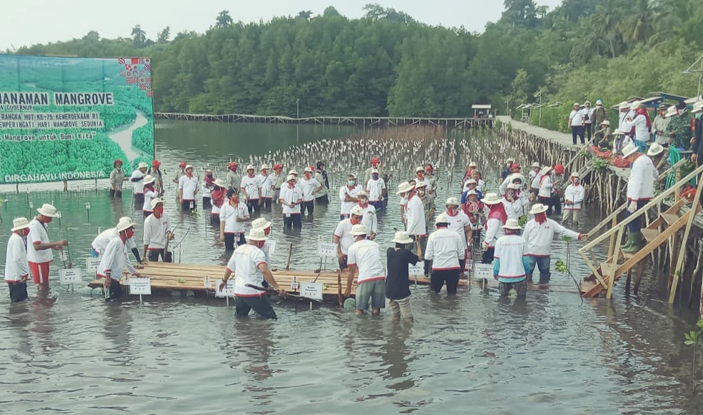 Pemprov Lampung Tanam 2.020 Pohon Mangrove